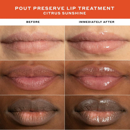 Pout Preserve Lip Treatment
